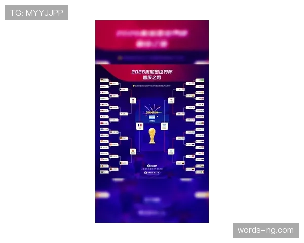 2026世界杯球星数量与晋级概率关系分析